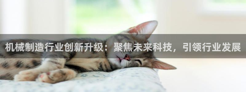 义乌摩根娱乐有限公司