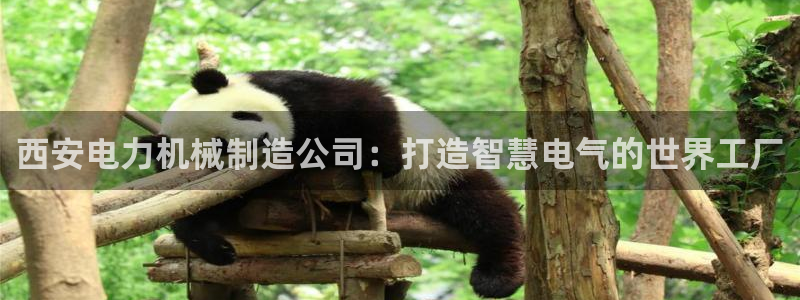 摩根娱乐宝app