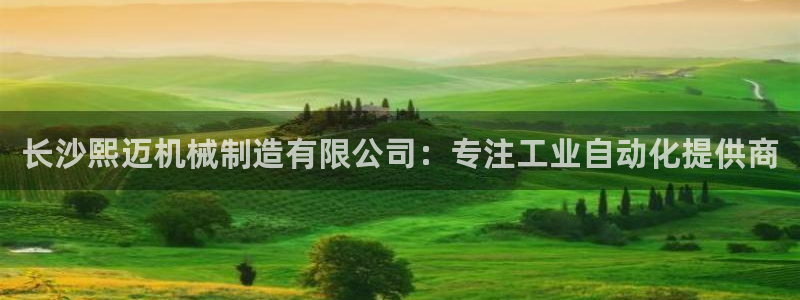 摩根娱乐宝k线图