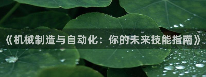 摩根娱乐和摩根国际