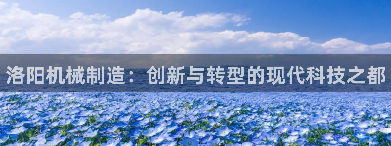 泉州摩根会娱乐有限责任公司管理