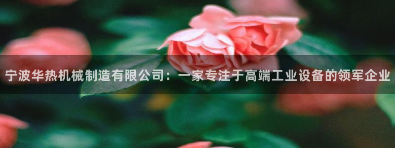 摩根娱乐宝诈骗