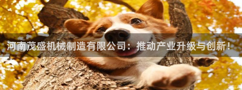 摩根娱乐宝是什么游戏