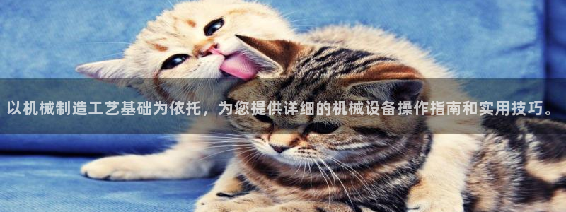 白宫摩根会娱乐有限公司