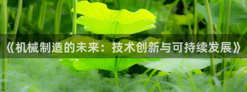 摩根娱乐金光