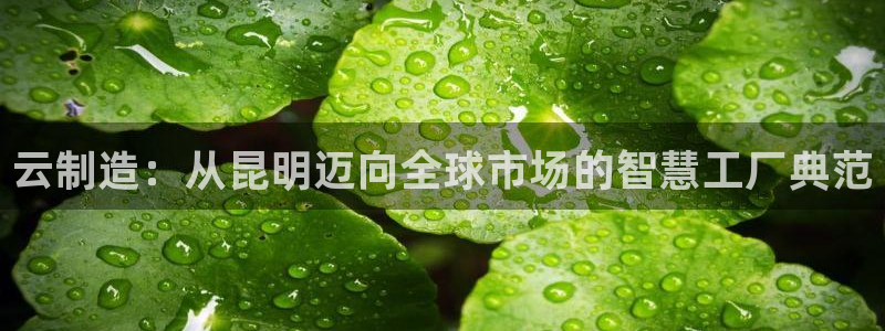 重生娱乐人生莉莉丝摩根