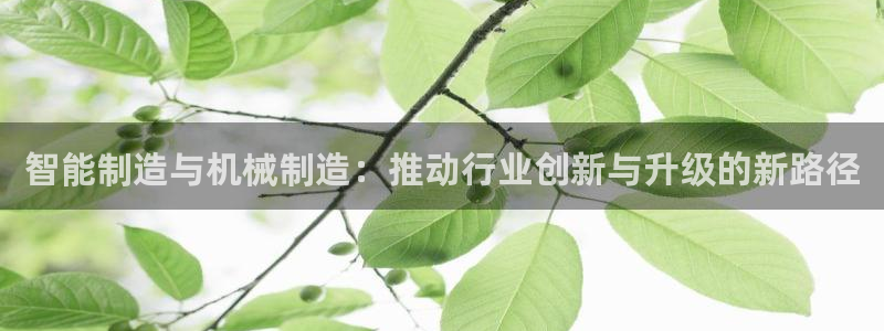 摩根转型娱乐的视频