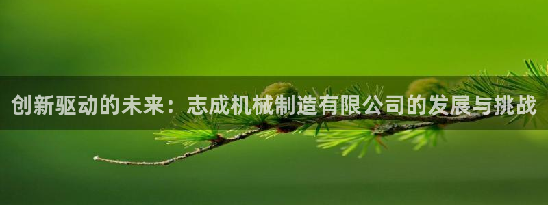 摩根娱乐50186选择