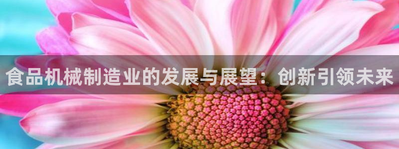 摩根娱乐平台云挂机安全吗