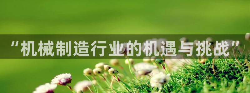 摩根360娱乐
