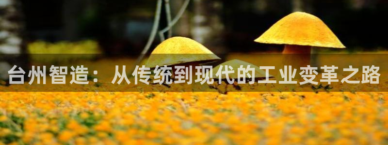 摩根国际娱乐宝书籍