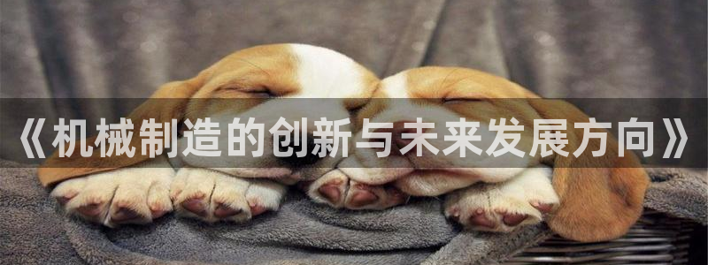 摩根娱乐金光