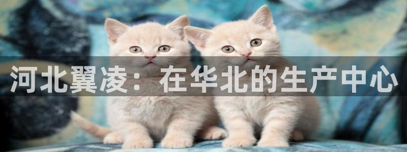 重生娱乐美日混血摩根
