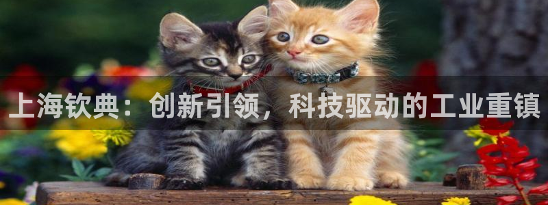 摩根娱乐开户总s管50015 15