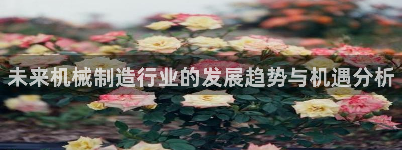 摩根国际娱乐宝在哪里