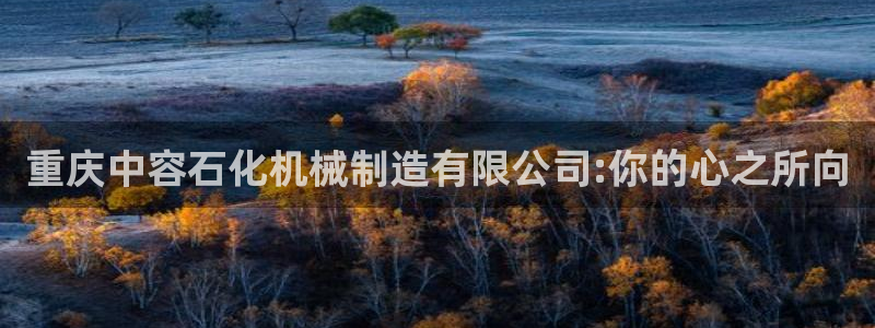 摩根娱乐50186夂