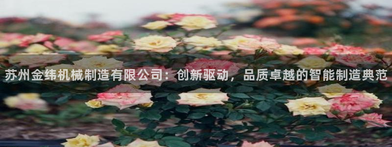 摩根大通狮门娱乐目标价