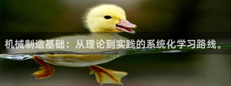 海贼王之娱乐摩根斯