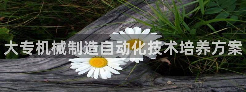 亚瑟摩根娱乐的地方