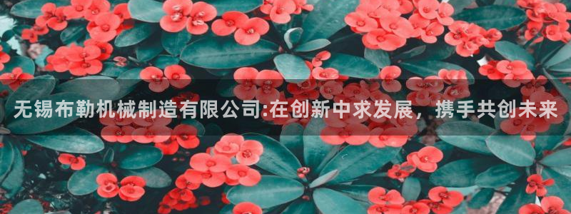 义乌摩根娱乐有限公司