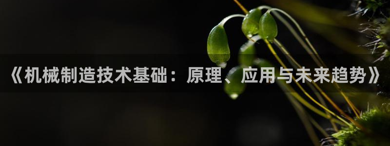 泉州摩根娱乐会所电话地址