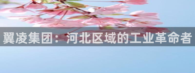 摩根娱乐创始人