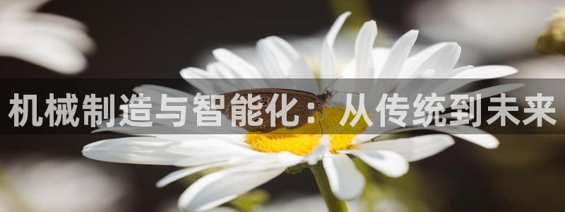 白宫摩根会娱乐会所