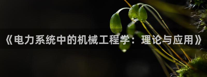 白宫摩根娱乐