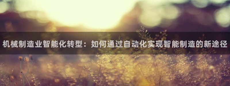 摩根娱乐金光