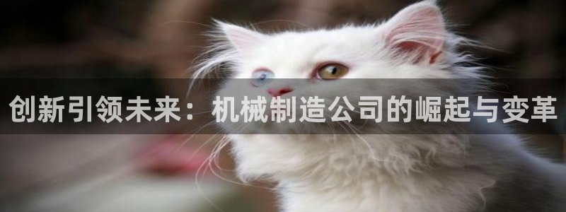 摩根士丹利娱乐