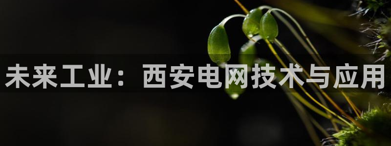 义乌摩根国际娱乐会所