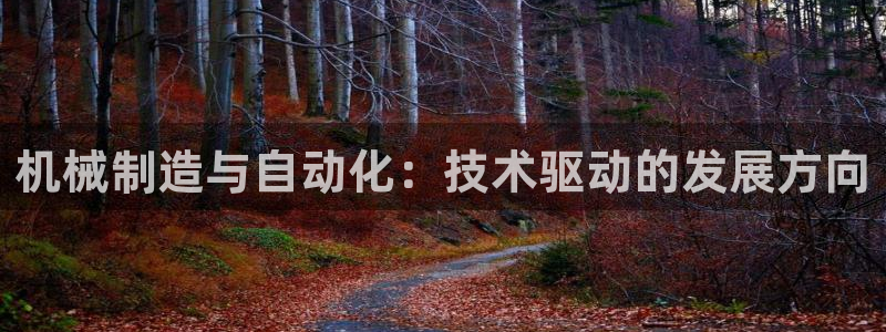摩根娱乐宝教程