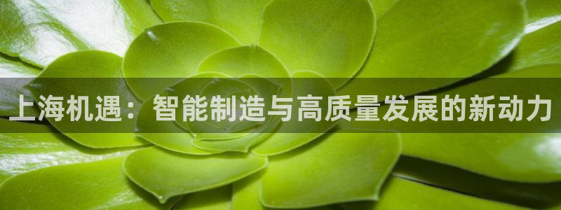 摩根娱乐宝怎么进入