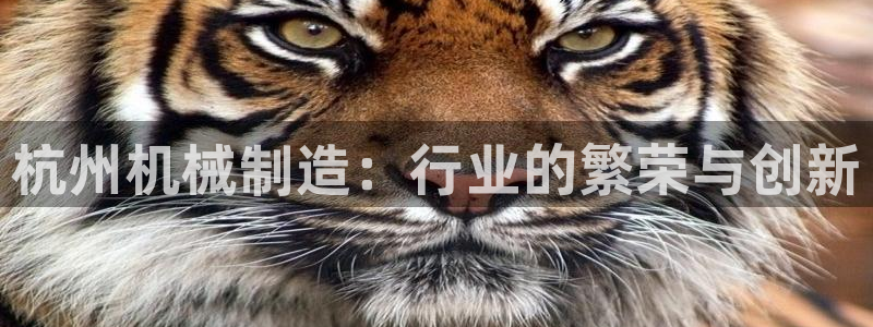 摩根娱乐是什么模式