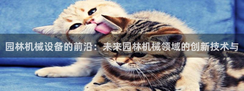 摩根娱乐¤股s东50015