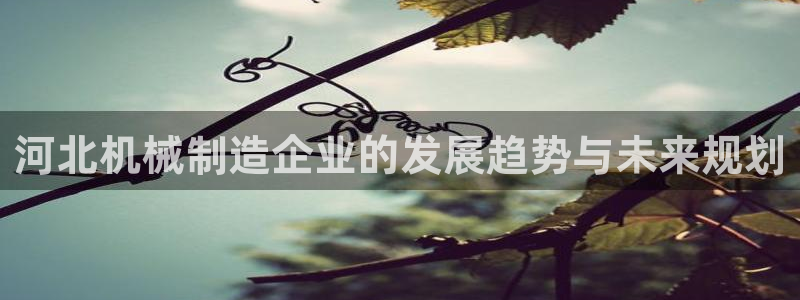 摩根合约娱乐宝
