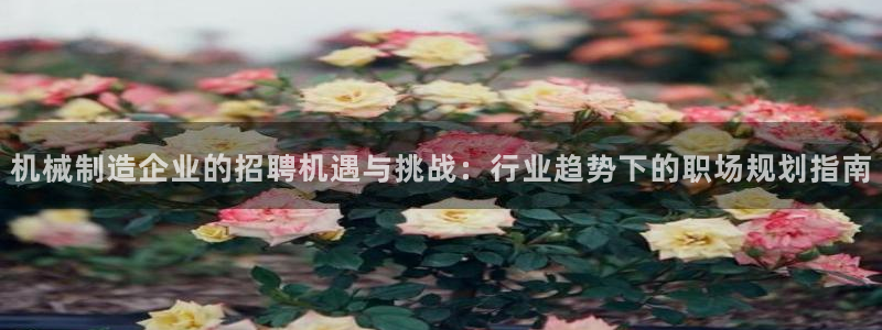 摩根娱乐包是什么意思