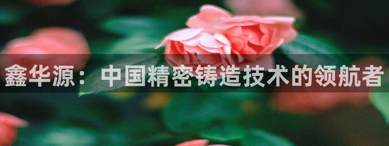 摩根娱乐宝骗局