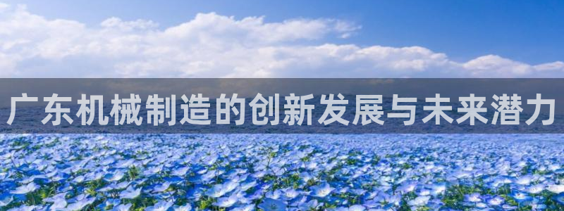 摩根娱乐宝与