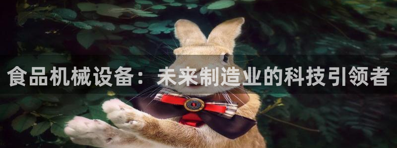 摩根娱乐50186夂
