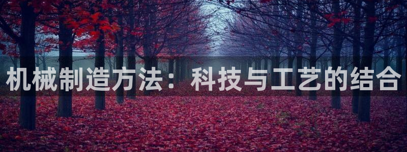 摩根娱乐dj
