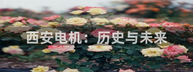 首页摩根娱乐平台
