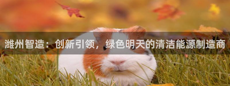 摩根室内娱乐