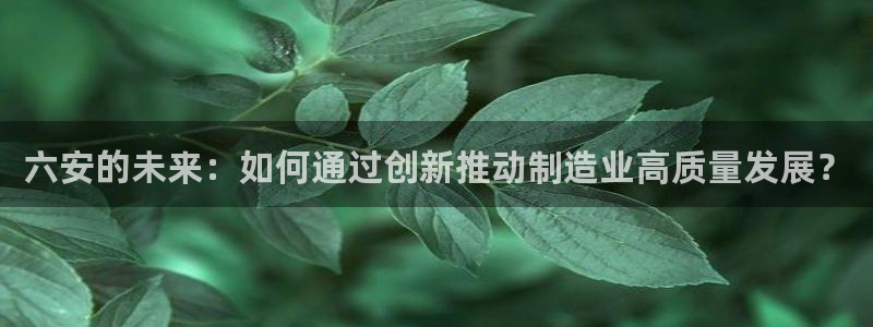 摩根娱乐是什么模式