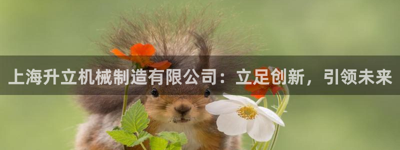 摩根在娱乐圈爆红
