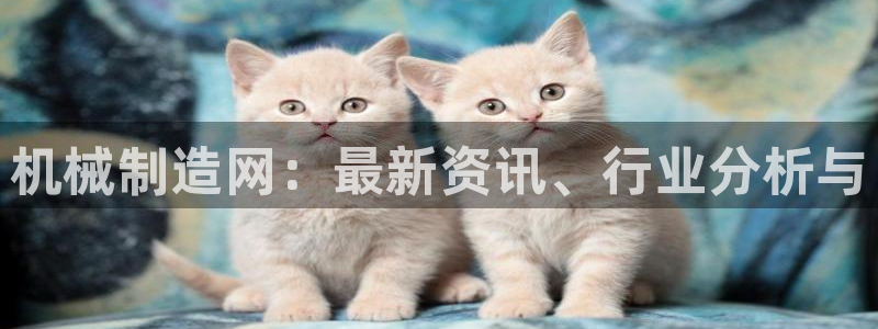 义乌摩根娱乐会所公主