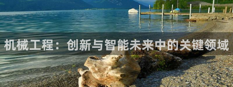 摩根娱乐宝老上不去啊