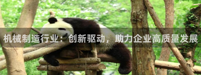 摩根娱乐宝机构代码