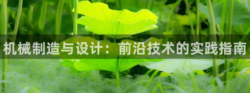 摩根娱乐宝机怎么玩