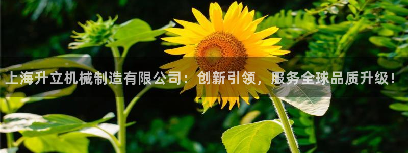 摩根国际娱乐宝官网下载